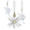 3D-Ornament-Set „Annual Edition“ 2025 3D-Ornament-Set „Annual Edition“ 2025