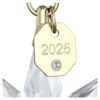 3D-Weihnachtskugel der Jahresedition 2025 3D-Weihnachtskugel der Jahresedition 2025