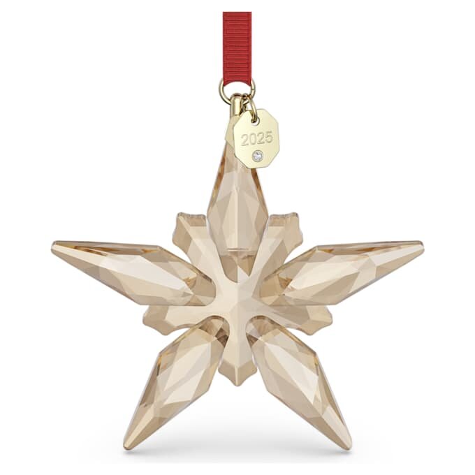 Festliche Weihnachtskugel der Jahresedition 2025 Festliche Weihnachtskugel der Jahresedition 2025
