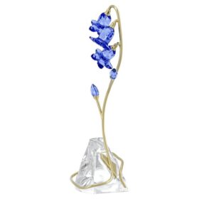 Florere Blaue Glockenblume