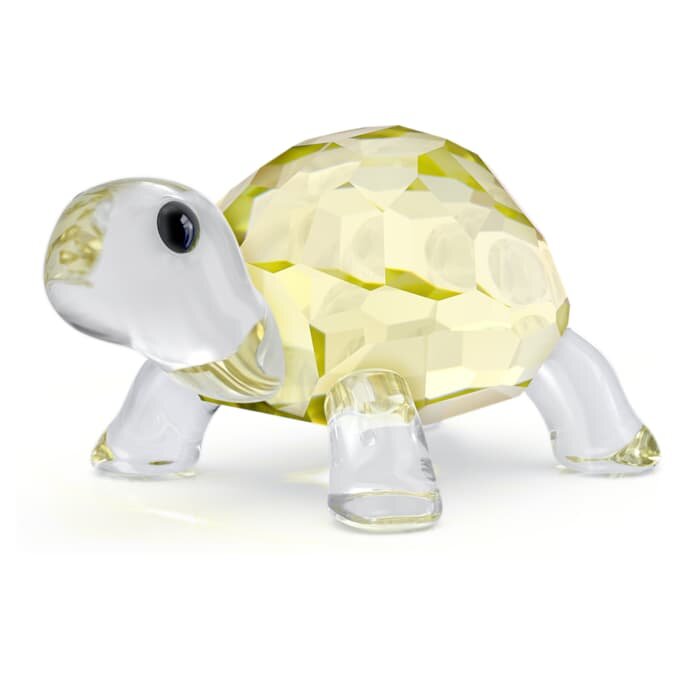 Idyllia Baby-Schildkröte Idyllia Baby-Schildkröte