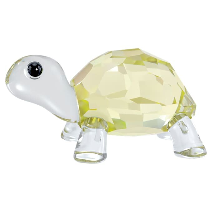 Idyllia Baby-Schildkröte Idyllia Baby-Schildkröte