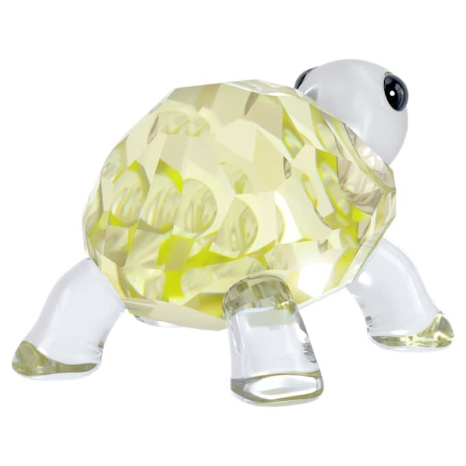 Idyllia Baby-Schildkröte Idyllia Baby-Schildkröte
