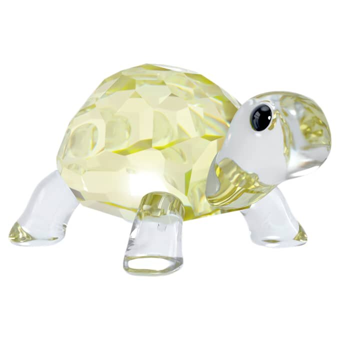 Idyllia Baby-Schildkröte Idyllia Baby-Schildkröte