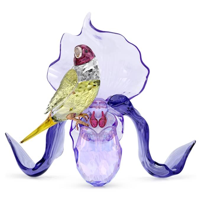 Idyllia – Gouldfink und Orchidee Idyllia – Gouldfink und Orchidee
