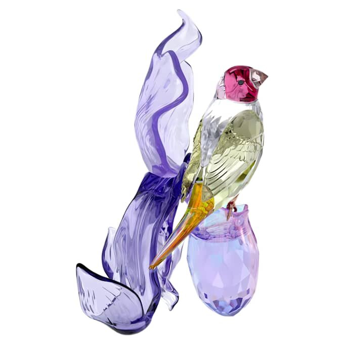 Idyllia – Gouldfink und Orchidee Idyllia – Gouldfink und Orchidee