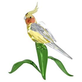 Idyllia Nymphensittich