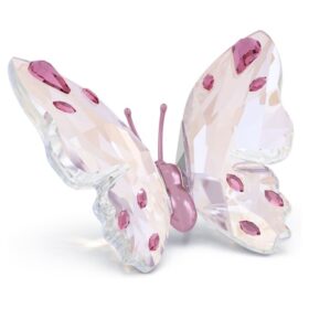 Idyllia Schmetterling, klein
