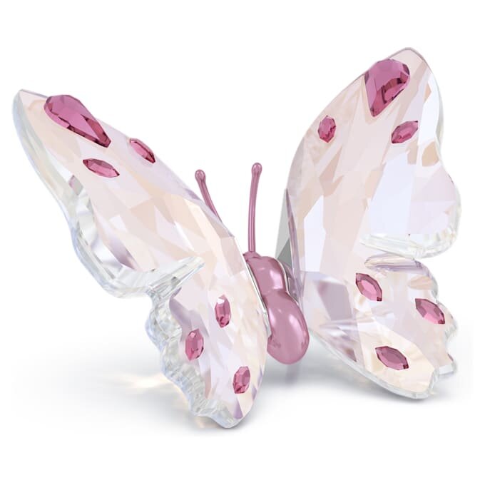 Idyllia Schmetterling, klein Idyllia Schmetterling, klein