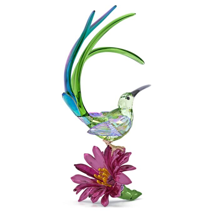 Idyllia: Zuckervogel und Kaktusblüte Idyllia: Zuckervogel und Kaktusblüte