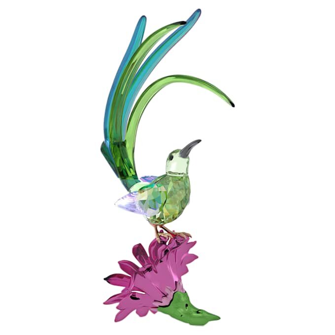 Idyllia: Zuckervogel und Kaktusblüte Idyllia: Zuckervogel und Kaktusblüte