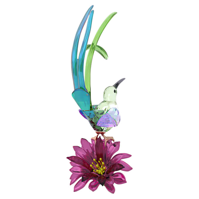 Idyllia: Zuckervogel und Kaktusblüte Idyllia: Zuckervogel und Kaktusblüte