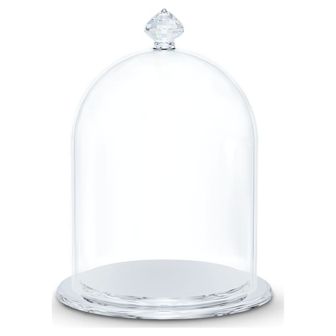 Kleine Glasglocke Kleine Glasglocke