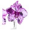 Kristallblumen Orchidee Kristallblumen Orchidee