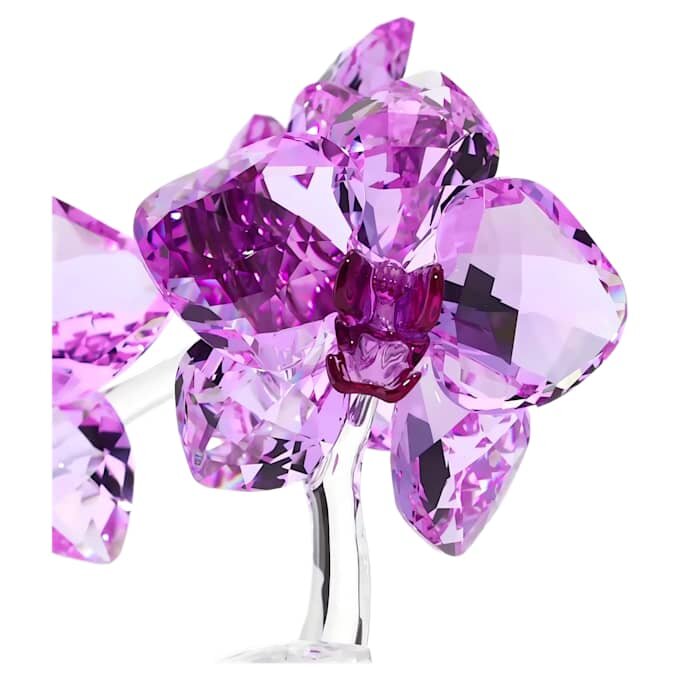 Kristallblumen Orchidee Kristallblumen Orchidee