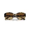 Sonnenbrille in Cat-Eye-Form, Sk6008, Braun Sonnenbrille in Cat-Eye-Form, Sk6008, Braun