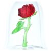 Verzauberte Rose
